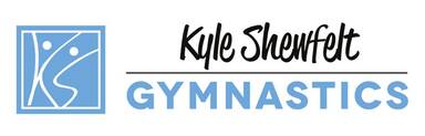 Kyle Shewfelt Gymnastics