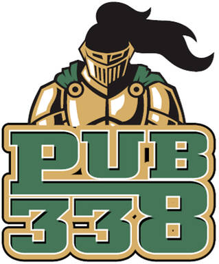 Pub 338