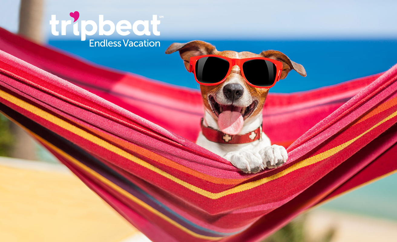 tripbeat